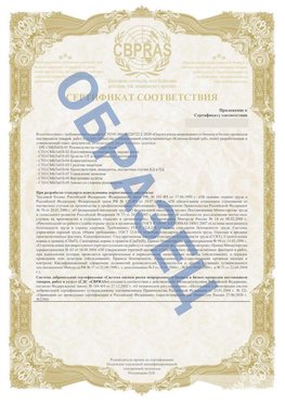 Образец Приложение к СТО 01.064.00220722.2-2020 Кулебаки Сертификат СТО 01.064.00220722.2-2020 